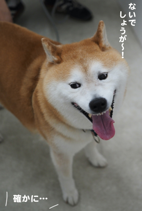 7日ブログ１０