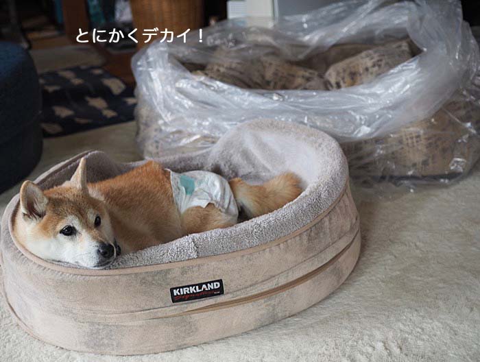 24日ブログ7