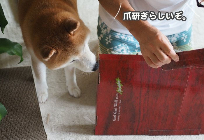 18日夕ブログ３
