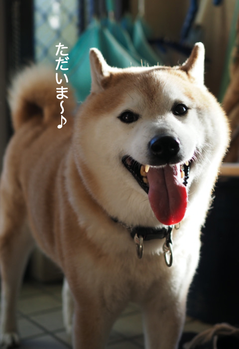 3日ブログ２