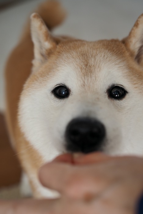 9日ブログ３