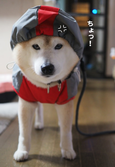 6日ブログ２