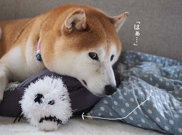 8日夜ブログ４