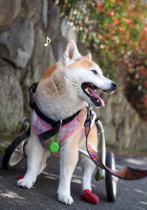 10日午後ブログ２