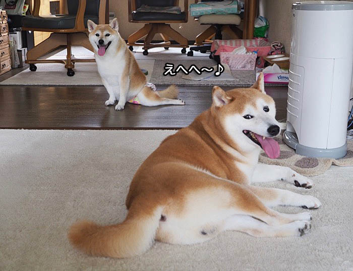10日ブログ２