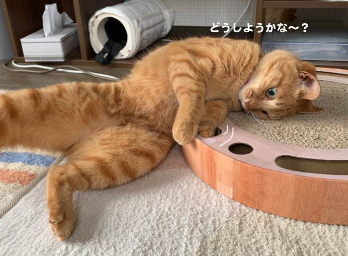 19日夕ブログ５