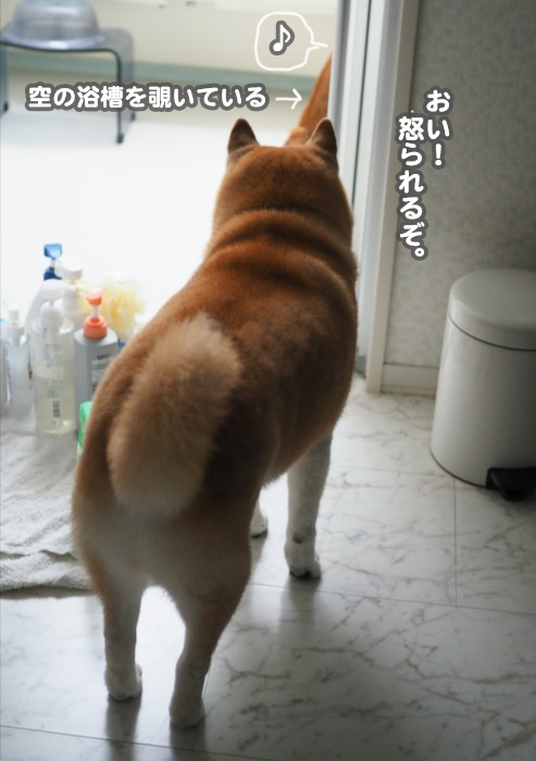 20日ブログ２