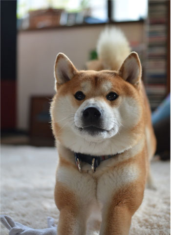 11日ブログ10.jpg