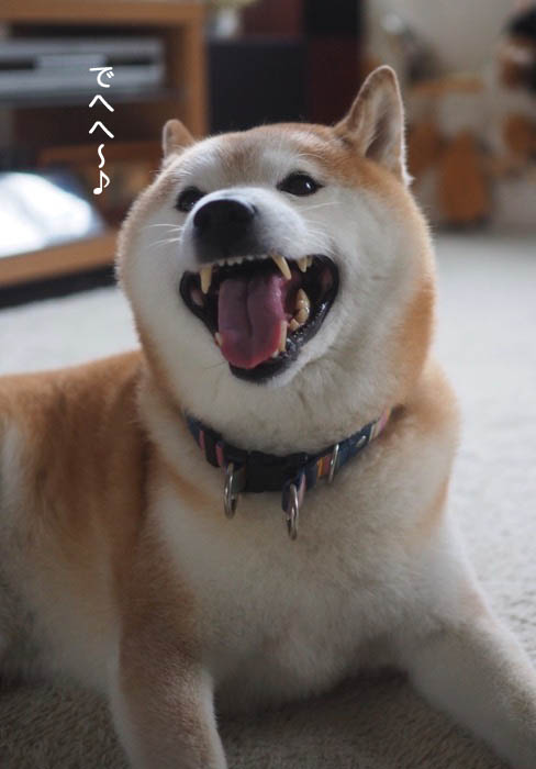 7日夜ブログ３