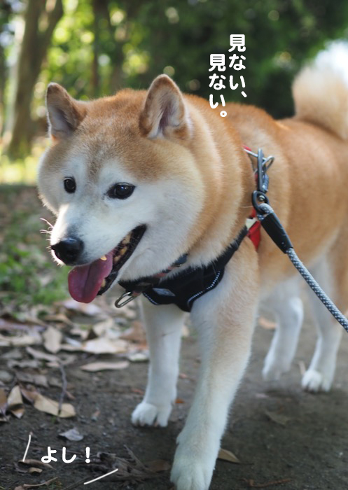 27日ブログ３