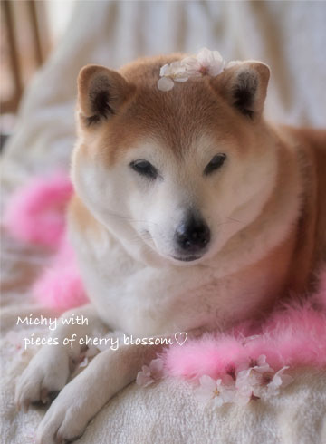 28日ブログ11.jpg