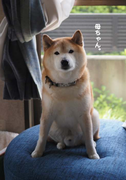 19日ブログ４