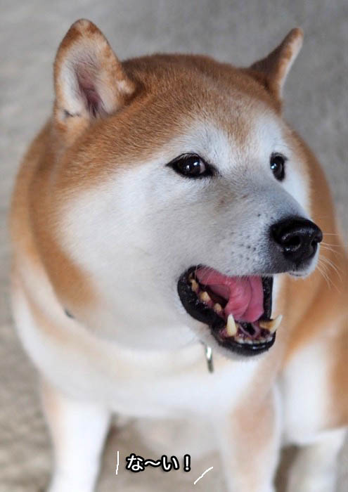 4日ブログ１２