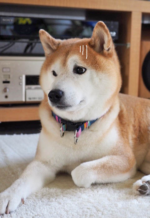 7日ブログ１