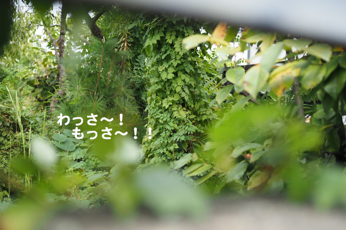 24日ブログ３