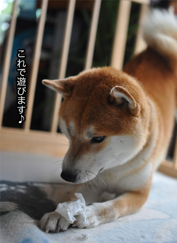 23日ブログ7.jpg