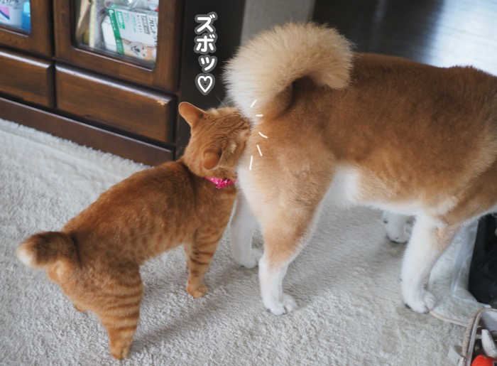 9日夕ブログ５