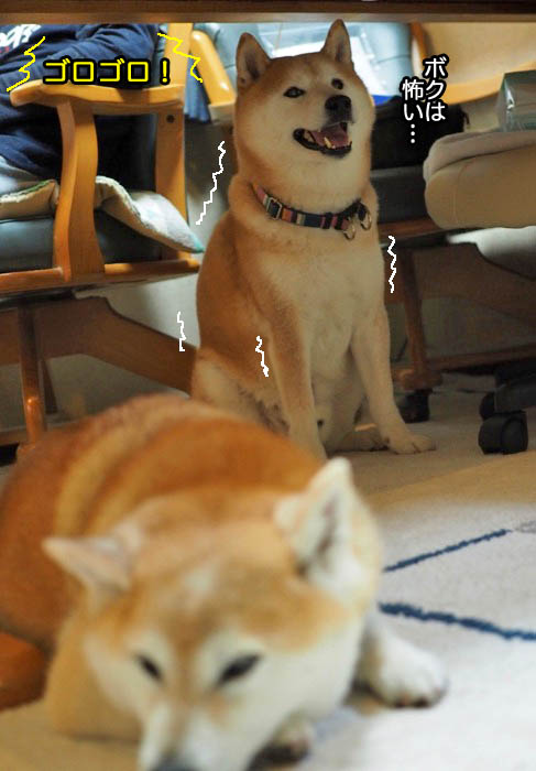 2日午後ブログ６