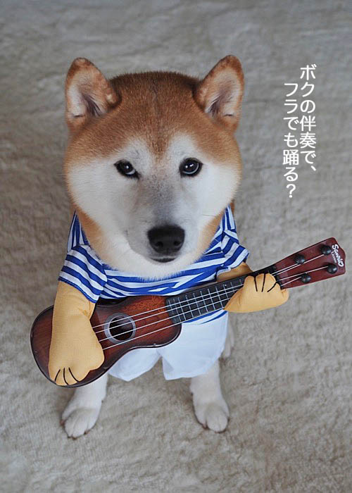 18日ブログ２