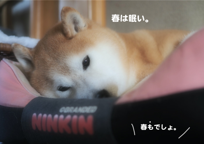 28日夜ブログ2