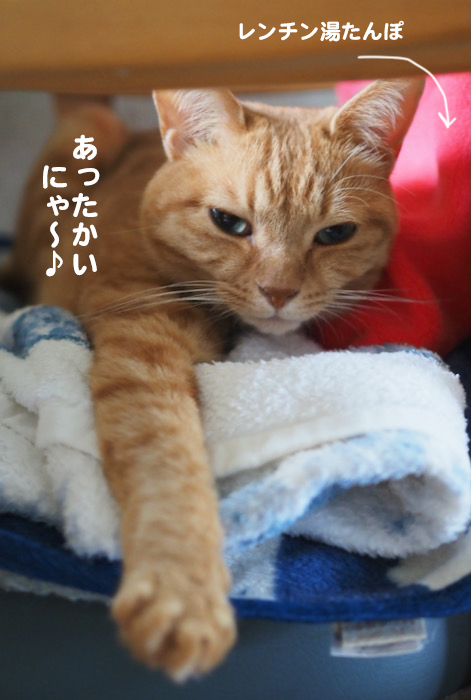 6日ブログ５