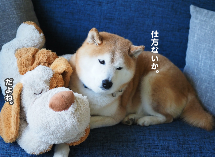 18日夕ブログ７