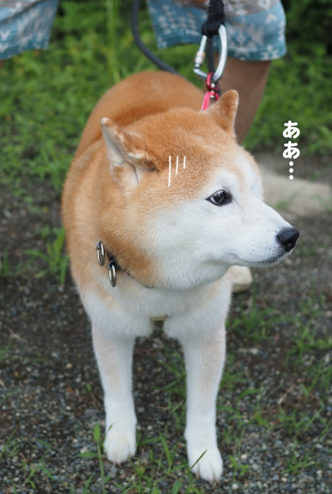 25日夕ブログ２
