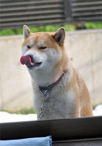 18日ブログ６.jpg