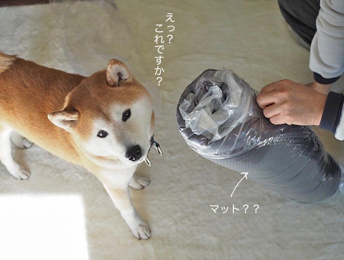 2日ブログ３