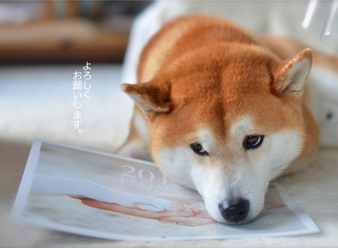 24日ブログ8.jpg