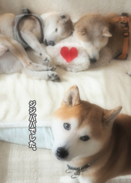 18日ブログ４