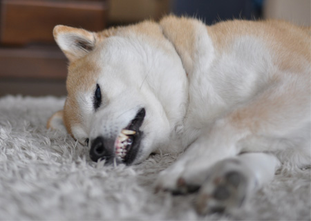 4日ブログ29.jpg