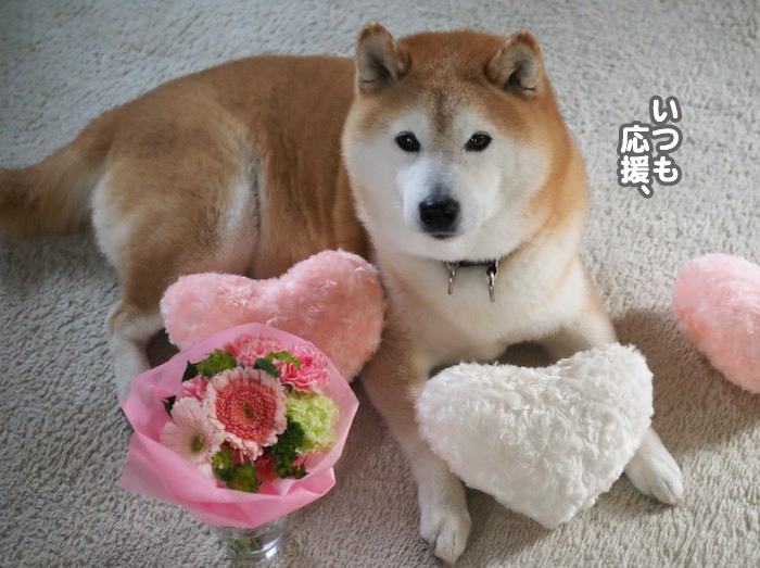 14日ブログ２