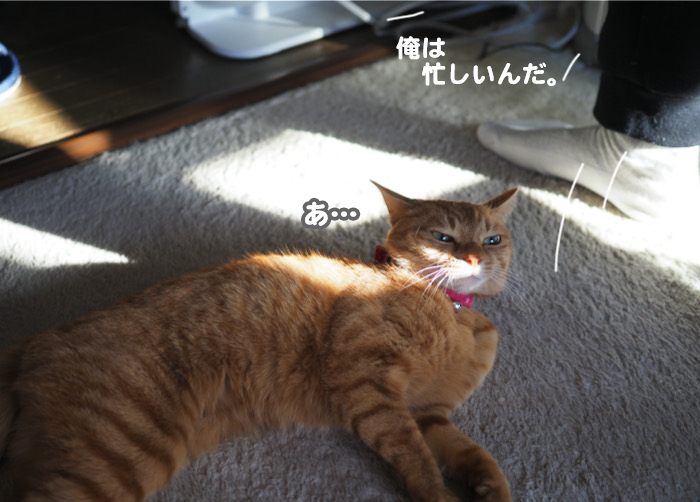 16日ブログ６