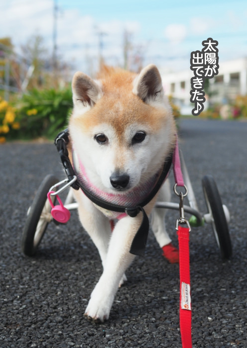 17日夕ブログ３