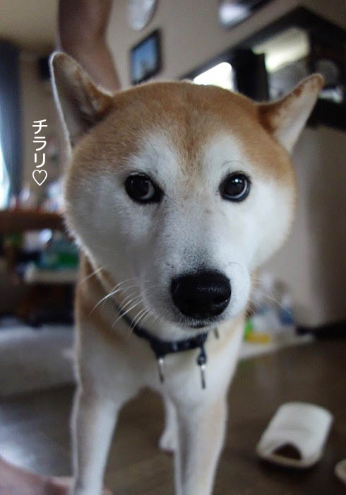 12日午後ブログ４