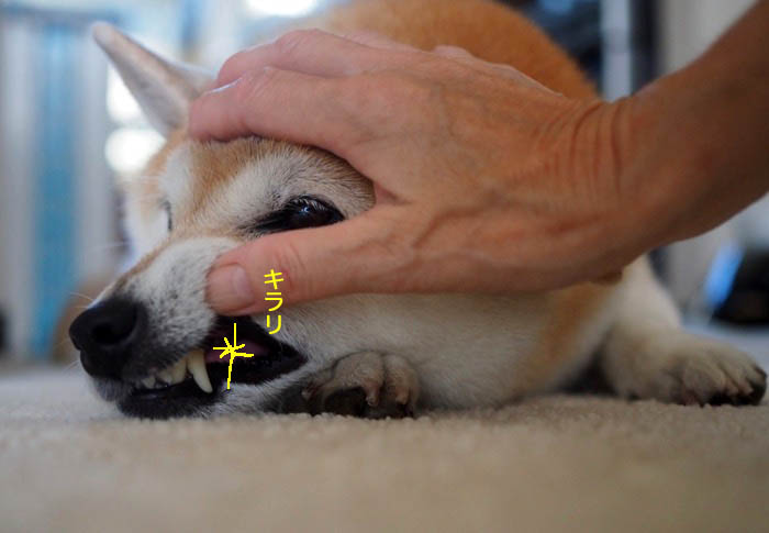 8日ブログ７
