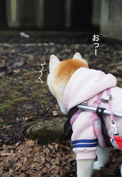 14日夜ブログ３