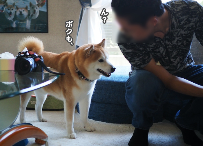 22日ブログ６