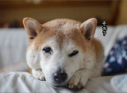 25日ブログ12.jpg