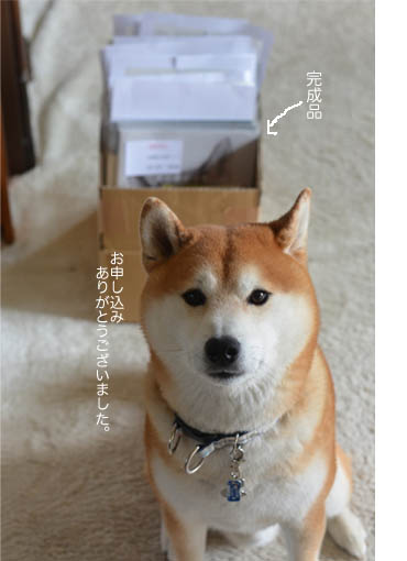 20日ブログ4.jpg