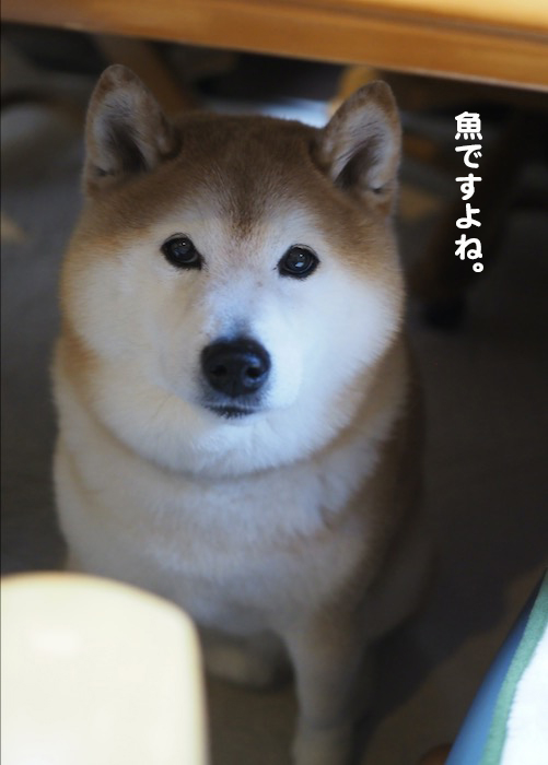 16日夕ブログ２