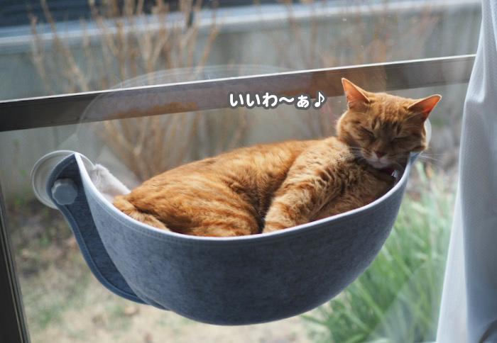 8日ブログ４