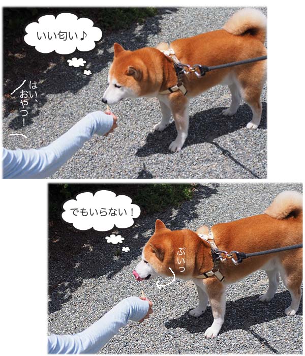15日ブログ4