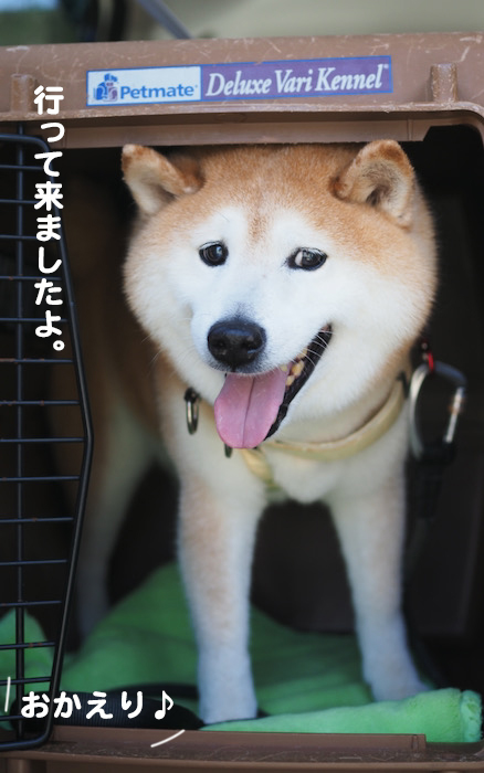 31日夕ブログ２