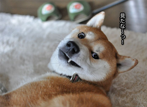 28日ブログ８.jpg