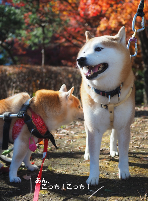 4日ブログ５