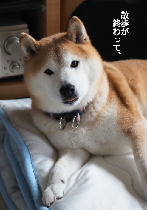 6日夜ブログ２