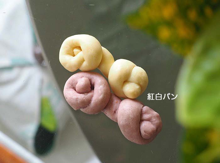6日ブログ２