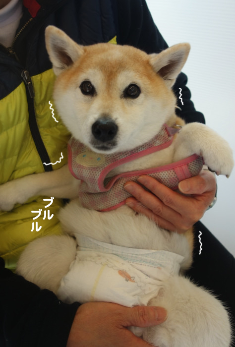 28日ブログ２